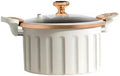 Non-Stick Enamel Pressure Cooker with Push Pull Lock, Silicone Seal, Spill-Proof Valve,ivory