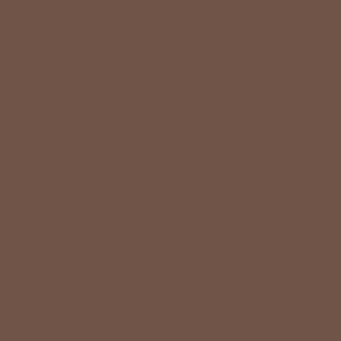 Circulon Nonstick Bakeware Set with Nonstick Cookie Sheets / Baking Sheets - 2 Piece, Chocolate Brown , Set (9" x 13" & 10" x 15")