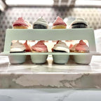 Top Shelf Elements Cupcake Carrier, EXTRA TALL LID, Green Cupcake Holder Carries 24 Standard-Size Cupcakes, Muffin Traveler Two Tier Stand Reusable Cupcake Box