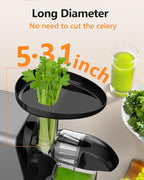 Cold Press Slow Juicer for Fruits & Vegetables Celery Carrot Ginger, Masticating Juicer Machine Soft Hard Mode, Reverse Function,250W Motor, Easy To Clean, Fresh Orange Juice Extractor