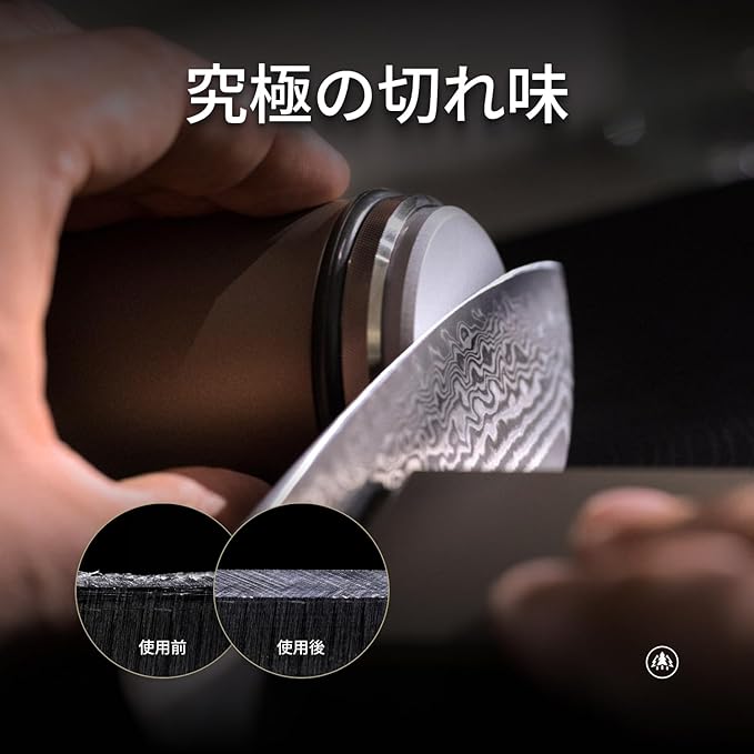 HORL 2 Pro Rolling Knife Sharpener - Kitchen Knife Sharpener for Razor Sharp Edges Made in Germany - Easy Knife Sharpening Kit with 3:1 Planetary Gear with Magnetic Holder with 15 & 20 Degrees