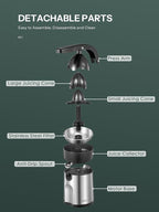 Professional Brushed Stainless Steel Electric Citrus Juicer, 2 Interchangeable Cones for Orange, Lemon & Grapefruit, Easy Clean, Durable Design & Effortless Operation