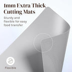 Cooler Kitchen Extra Thick Flexible Plastic Cutting Board Mats with Food Icons & EZ-Grip Waffle Back, (Set of 6) Dishwasher Safe
