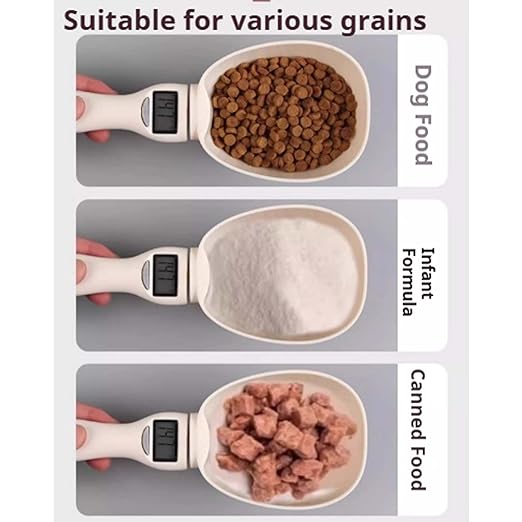 2026 New Electronic Measuring Spoon with Conversion,Digital Measuring Spoon Scale,800g / 0.1g High Precision with LCD Screen,Household Weighing Portable Tool for Pet Dog Cat Food (1SET)