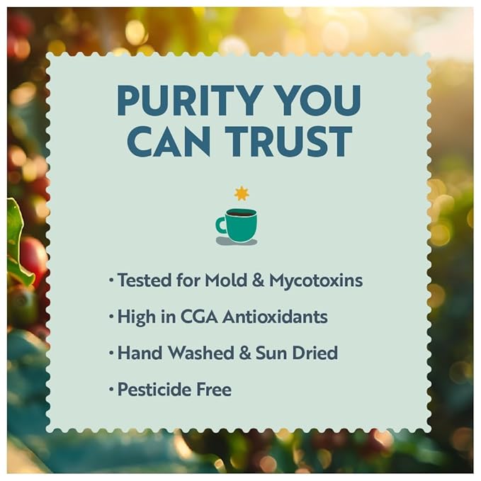 Clean Coffee Co. - Low Acid Espresso Roast, Tested for Molds and Toxins, Sumatra Blend, Notes of Dark Chocolate, Caramel, Toasted Sweetness (Whole Bean, 12 oz Bag)