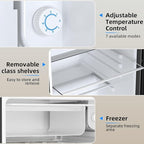 Antarctic Star 3.2 Cu.Ft.Compact Refrigerator with Freezer, Mini Fridge Single Door with Adjustable Thermostat,Removable Glass Shelves for Apartment,Dorm,Office,Kitchen，SILVER
