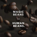 Kicking Horse Coffee Kick Ass, Dark Roast, Whole Bean, Certified Organic, Fairtrade, Kosher, Black, 1 Kg, Pack of 6
