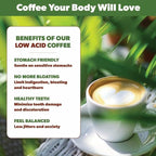 Low Acid Organic Coffee – Whole Bean, Mold-Free & Stomach Friendly by Java Planet, Costa Rican Single Origin Coffee, Dark Roast, Smooth Full Flavored, 1LB Bag