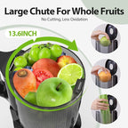 Aeitto Juicer Machines Fits Whole Fruits, Cold Press Juicer with Wide Feed Chute, Masticating Juice Extractor Machine Easy to Clean, High Juice Yield, Easy to Assemble, Self Feeding