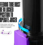 Ventray Ginnie Mini Cold Press Juicer, Small Slow Masticating Juicer for Vegetables and Fruits, High Juice Yield, Easy to Clean, Space-Saving, Fit for Personal/Travel/Picnic/Office - Purple
