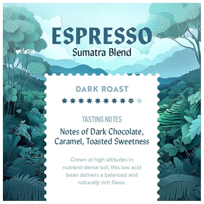 Clean Coffee Co. - Low Acid Espresso Roast, Tested for Molds and Toxins, Sumatra Blend, Notes of Dark Chocolate, Caramel, Toasted Sweetness (Whole Bean, 12 oz Bag)