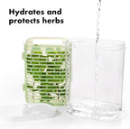 OXO Good Grips GreenSaver Herb Keeper- 1.8 QT