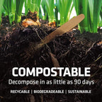 5.5 Inch Wooden Coffee Stirrers, 500 Count, Disposable & Compostable Wood Coffee Stick Stirrers | Eco-Friendly, Sustainable, Organic, Biodegradable, Vegan-Friendly Coffee Station Supplies