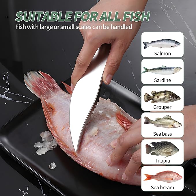 4 PCS Fish Scaler, Stainless Steel Fish Scale Remover, Fish Descaler Tool with Serrated Blade Design, Ideal for Home, Kitchen, Seafood Markets, and Professional Use