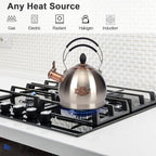 Whistling Tea Kettle Stainless Steel Teapot, Teakettle for Stovetop Induction Stove Top, Fast Boiling Heat Water Tea Pot 2.6 Quart
