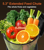 Juicer Machines, 5.3" Large Feed Chute Cold Press Juicer with Double Press Technology, 400W Motor, High Juice Yield, Easy to Clean, Masticating Juicer for Whole Vegetables & Fruits, Dark Black