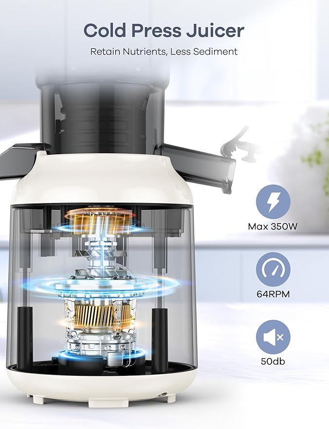 Ganiza Juicer Machines, Cold Press Juicer with Large Feed Chute for Whole Fruits & Vegetables, Slow Masticating juicers with 3 Replace Filters for Batch Juicing, Easy to Clean, BPA Free (White)