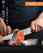 MOSFiATA Chef Knife 10 Inch Super Sharp Professional Kitchen Knife with Finger Guard in Gift Box, German High Carbon Stainless Steel EN.4116 Cooking Knife with Micarta Handle