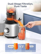 Ganiza Juicer Machines, Slow Masticating Juicers with Large Feed Chute for Whole Fruits & Vegetables, Cold Press Juicer with 3 Replace Filters for Batch Juicing, Easy to Clean, BPA Free(Silver)