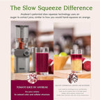Anybear Cold Press Juicer, 200W Masticating Slow Juicer 4.3" Large Feed Chute Fit Whole Fruits Vegetables | Upgraded Auger | Tritan Material | BPA Free | Juice Recipes (Light Gray)