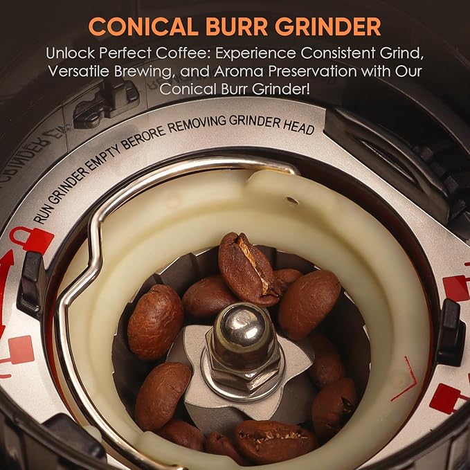 BioloMix Conical Burr Coffee Grinder Electric, Espresso Coffee Grinder with 30 Precise Settings for 1-12 Cups with LCD Screen Display (CG210)