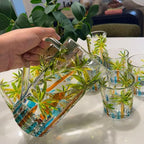 Tropical Summer Glass Jug Caribbean Mix Rum Punch Coconut Tree Pool Party Colorful Design Tiki Bar Engraved Jugs To Pour Into Drinking Glasses Margarita Mojito Martini Whiskey Sour Beach Water Palm