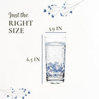 Spode Blue Italian Highball Glasses | Set of 4 | 15 Ounce Capacity | Tall Glasses for Drinking Cocktails, Mojito, Scotch, Water, and Juice | Handwash Only