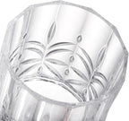 Eorbow 6 Pack Plastic Water Tumblers, 14 OZ Unbreakable Acrylic Whiskey Drinking Glasses, BPA-Free Clear Wine Cup, Shatterproof Drinkware Barware for Juice, Cocktail