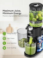 Juilist Cold Press Juicer, High Yield, Quiet Masticating Slow Juicer, Nutrient Preservation, Easy to Clean, Space Saving, Whole Fruit Vegetable Juicer for Home Use, BPA Free (Black)
