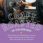 Clean Coffee Co. - Low Acid Medium Roast, Tested for Molds and Toxins, Costa Rica Blend, Notes of Milk Chocolate, Roasted Nuts, Toasted Malt (Ground, 12 oz Bag)