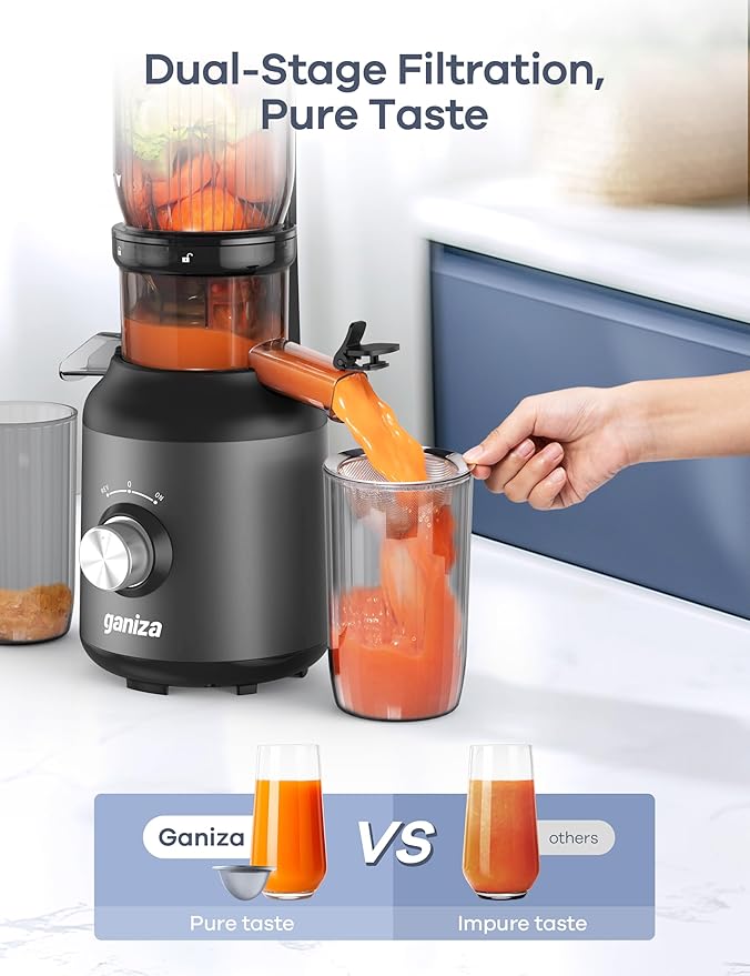 Ganiza Juicer Machines, Cold Press Juicer with Large Feed Chute for Whole Fruits & Vegetables, Slow Masticating juicers with 3 Replace Filters for Batch Juicing, Easy to Clean, BPA Free (Black)