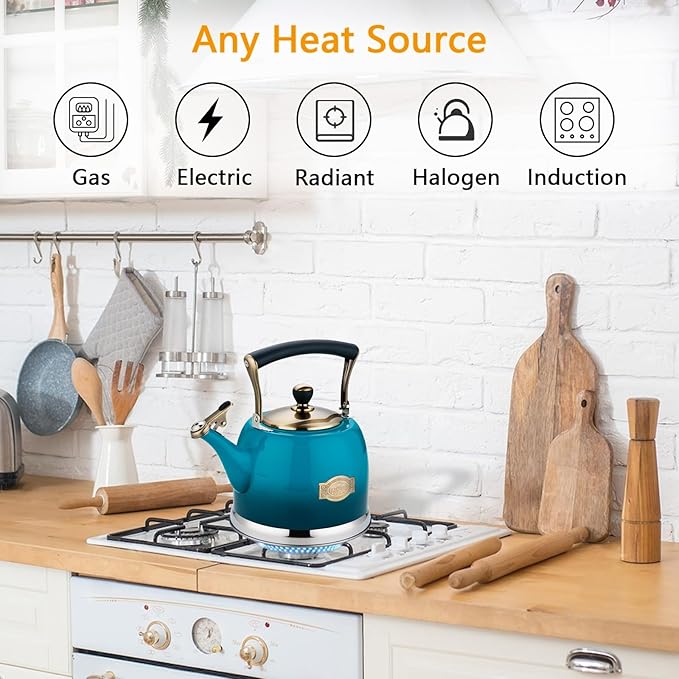 Tea Kettle Stainless Steel Teapot, Stainless Steel Teakettle for Stove Top with Heat Proof Ergonomic Handle 3.0 Quart