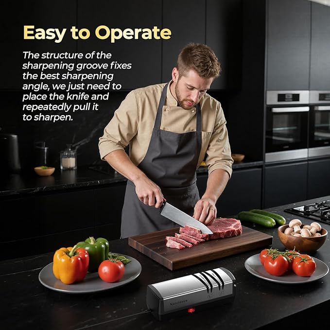 Narcissus Knife Sharpener, Diamond Abrasives Electric Knife Sharpener for Stainless Steel and Ceramic Knives, with Scissors Sharpener & Metal Dust Collection Box, Quick Sharpening & Polishing, Silver