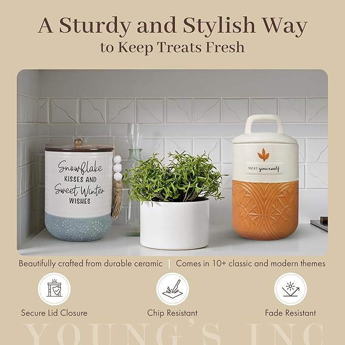 Young's Inc Red Ceramic Mason Jar, Unique Cookie Container with Lid, Multipurpose Ceramic Cannisters for Pet Treats, Candy, Snacks Storage