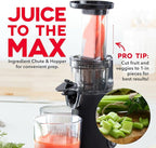 DASH Deluxe Compact Masticating Slow Juicer, Easy to Clean Cold Press Juicer with Brush, Pulp Measuring Cup, Frozen Attachment and Juice Recipe Guide - Black