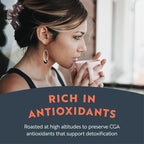 Clean Coffee Co. - Low Acid Medium-Dark Roast, Tested for Molds and Toxins, Papua New Guinea Blend, Notes of Milk Chocolate and Roasted Almonds (Whole Bean, 12 oz Bag)