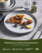 Famiware Star 18-Piece Reactive Glaze Plates and Bowls Sets, Service for 6 - Stoneware Dinnerware with Trim, Modern Rustic Dishes, Chip & Scratch Resistant, Microwave & Dishwasher Safe, Matte Gray