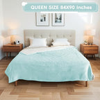 Electric Heated Blanket Queen Size - 84"x90", Soft Flannel Heating Blanket, 10 Heating Levels, 1-12 H Auto Shut Off, Dual Controllers, Breathable Warm and Washable for Bed, Mint Green