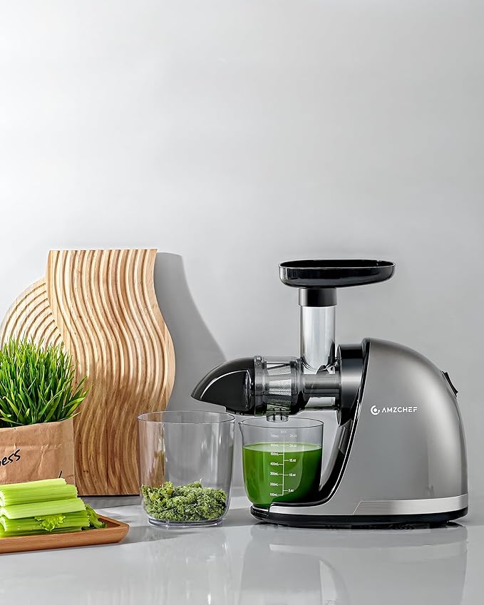 AMZCHEF Cold Press Masticating Juicer Machine - 90% Yield Reverse System, Quiet Motor for Home & Breakfast, 3-Step Clean with Brush, Includes 50+ Juice Recipes, Silver Grey