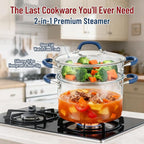 ARC 6QT Stainless Steel Stock Pot w/Steamer Basket, Multi-steamer Pot With Tempered Glass Lid for Cooking, Multipurpose Cookware with Silicone Handle for Veggies, Soup, Seafood, Induction-Ready