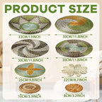 Tatuo 11 Pcs Boho Wall Basket Decor Bulrush Woven Wall Hanging Art Round Farmhouse Rustic Handmade Wicker for Summer Home, Bedroom, Living Room, Kitchen Decorations, Multi Sizes(Stylish)