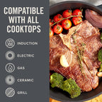 Zakarian x Dash Nonstick Cast Iron Grilling and Roasting Pan - Oven-Safe Cookware - Titanium Ceramic Nonstick Coating - Great for Roasting Veggies, Meats, and More - Gray, 11-Inch