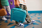 PackIt(R) Freezable Classic Lunch Box, Almond, Built with EcoFreeze(R) Technology, Collapsible, Reusable, Zip Closure With Zip Front Pocket and Buckle Handle, Designed for Fresh Lunch On the Go
