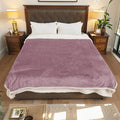 Electric Heated Blanket Twin Size - 62"x84", Soft Flannel Heating Blanket, 10 Heating Levels, 1-12 H Auto Shut Off, Breathable Warm and Washable for Bed, Purple