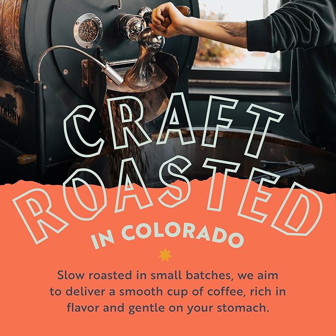 Clean Coffee Co. - Low Acid Medium-Dark Roast, Tested for Molds and Toxins, Papua New Guinea Blend, Notes of Milk Chocolate and Roasted Almonds (Whole Bean, 12 oz Bag)