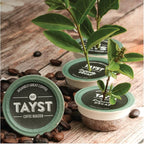 Tayst Coffee Pods, Vanilla Cream Medium Roast, K Cups Compatible with Keurig Coffee Maker, Sustainable Single Serve, Pack of 240