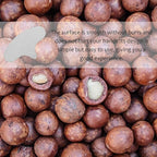 Artibetter Macadamia Nut Opener and Iron Shell Splitter Tool 50pcs Set Sturdy Iron Pieces for Macadamia and Pecan Nuts Specialty Kitchen Gadget and Food Preparation