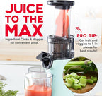DASH Deluxe Compact Masticating Slow Juicer, Easy to Clean Cold Press Juicer with Brush, Pulp Measuring Cup, Frozen Attachment and Juice Recipe Guide - Aqua
