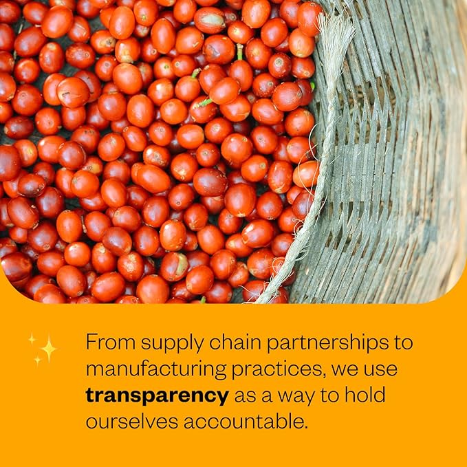 Counter Culture Coffee - Fresh Roasted Certified Organic Whole Bean Coffee (Kosher) (Apollo Double Pack)