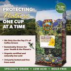 Low Acid Organic Coffee – Whole Bean, Mold-Free & Stomach Friendly by Java Planet, Sumatran Single Origin Coffee, Dark Roast, Smooth Full Flavored, 1LB Bag